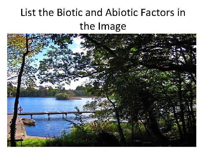 List the Biotic and Abiotic Factors in the Image 