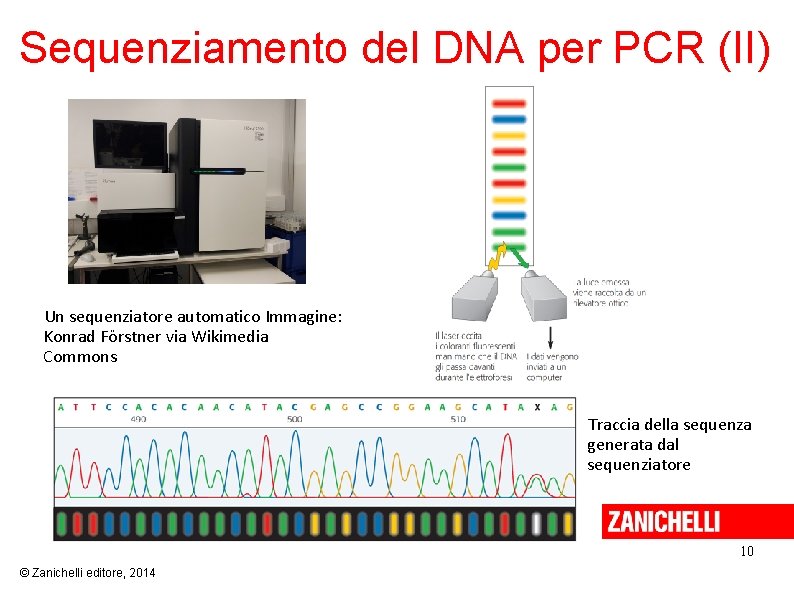 Sequenziamento del DNA per PCR (II) Un sequenziatore automatico Immagine: Konrad Förstner via Wikimedia