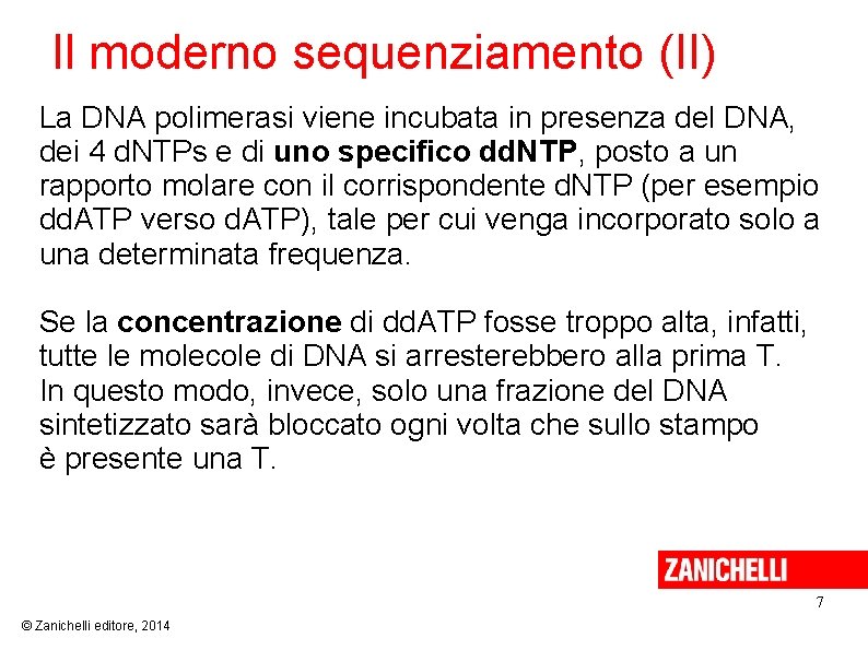 Il moderno sequenziamento (II) La DNA polimerasi viene incubata in presenza del DNA, dei
