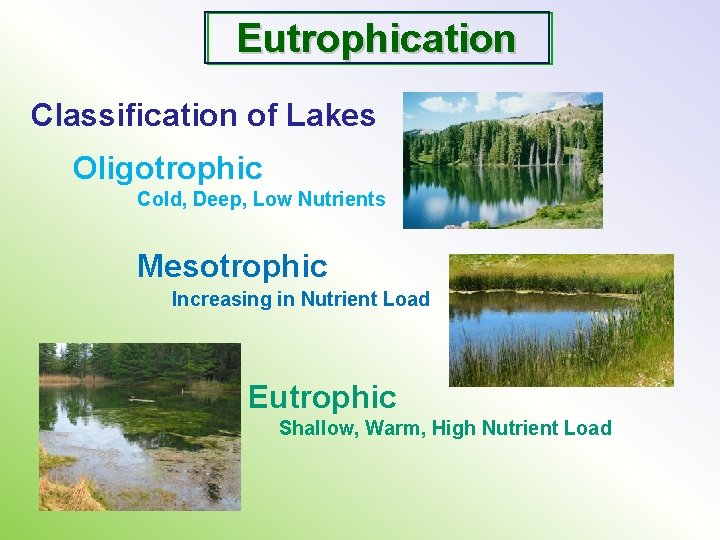Eutrophication Classification of Lakes Oligotrophic Cold, Deep, Low Nutrients Mesotrophic Increasing in Nutrient Load