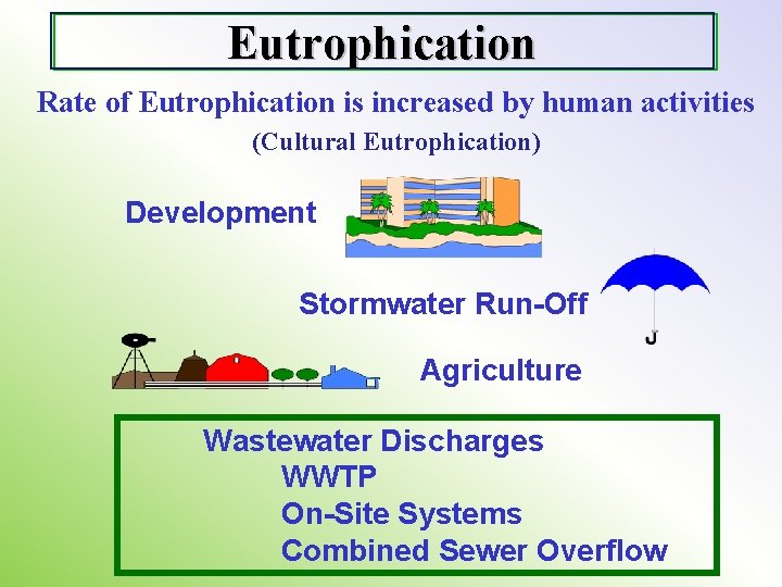 Eutrophication Rate of Eutrophication is increased by human activities (Cultural Eutrophication) Development Stormwater Run-Off