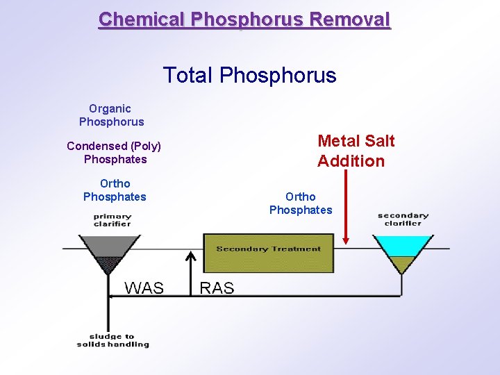 Chemical Phosphorus Removal Total Phosphorus Organic Phosphorus Condensed (Poly) Phosphates Ortho Phosphates Metal Salt