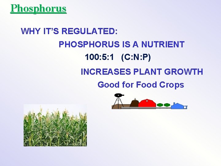 Phosphorus WHY IT’S REGULATED: PHOSPHORUS IS A NUTRIENT 100: 5: 1 (C: N: P)