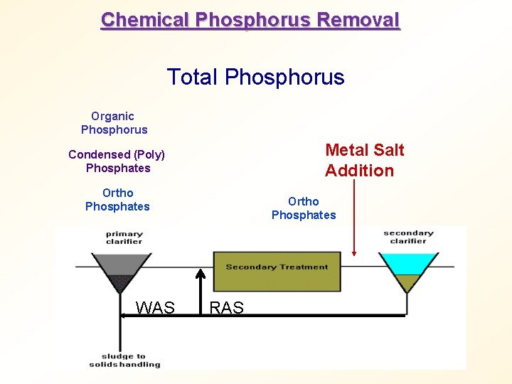 Chemical Phosphorus Removal Total Phosphorus Organic Phosphorus Metal Salt Addition Condensed (Poly) Phosphates Ortho