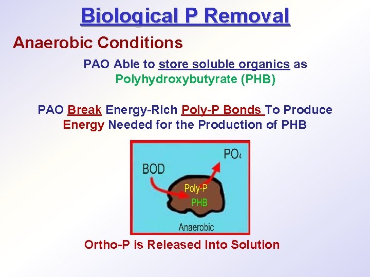 Biological P Removal Anaerobic Conditions PAO Able to store soluble organics as Polyhydroxybutyrate (PHB)