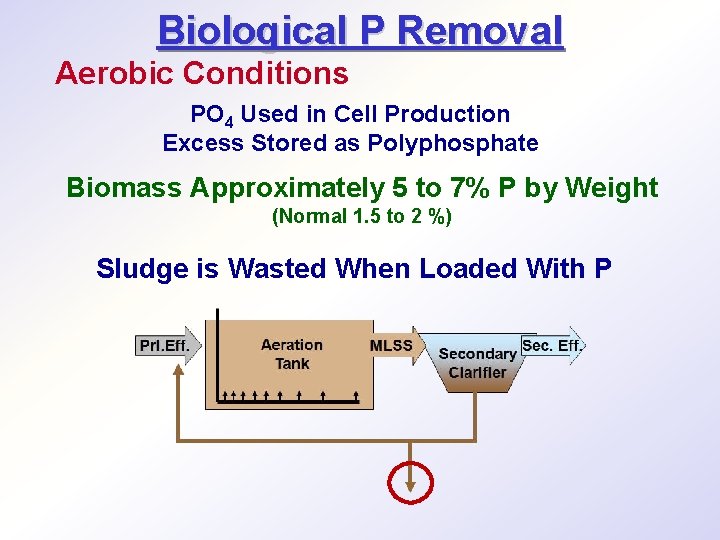 Biological P Removal Aerobic Conditions PO 4 Used in Cell Production Excess Stored as