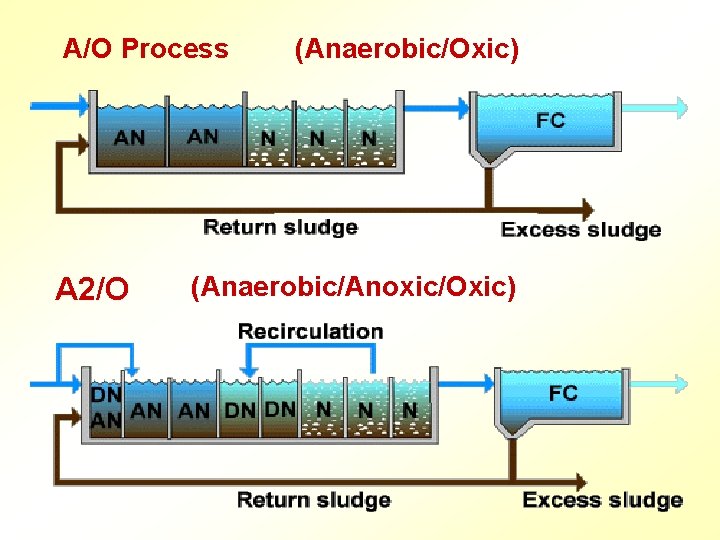 A/O Process A 2/O (Anaerobic/Oxic) (Anaerobic/Anoxic/Oxic) 
