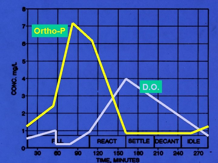 Ortho-P D. O. 