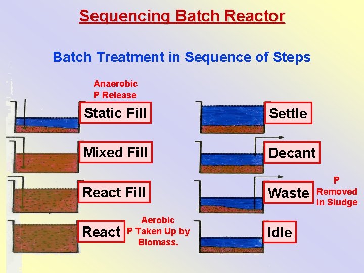 Sequencing Batch Reactor Batch Treatment in Sequence of Steps Anaerobic P Release Static Fill