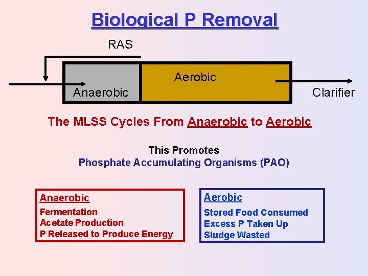Biological P Removal RAS Aerobic Anaerobic Clarifier The MLSS Cycles From Anaerobic to Aerobic