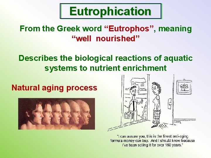 Eutrophication From the Greek word “Eutrophos”, meaning “well nourished” Describes the biological reactions of