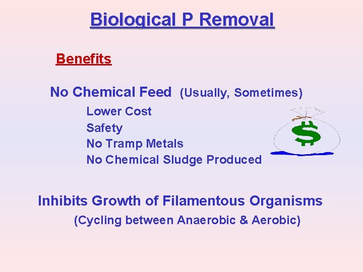 Biological P Removal Benefits No Chemical Feed (Usually, Sometimes) Lower Cost Safety No Tramp