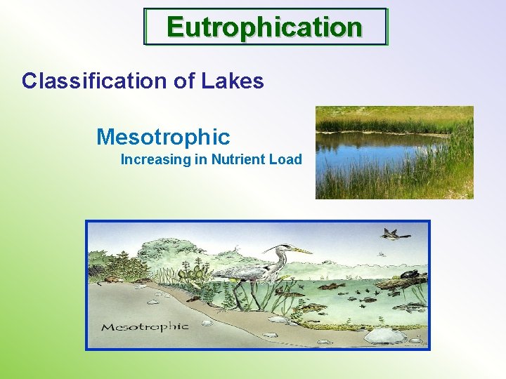 Eutrophication Classification of Lakes Mesotrophic Increasing in Nutrient Load 