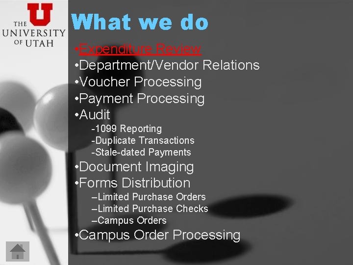 What we do • Expenditure Review • Department/Vendor Relations • Voucher Processing • Payment