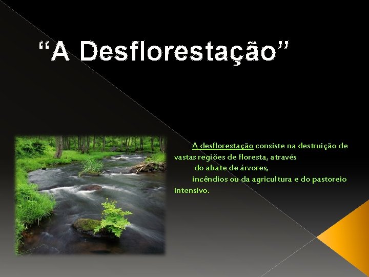 “A Desflorestação” A desflorestação consiste na destruição de vastas regiões de floresta, através do