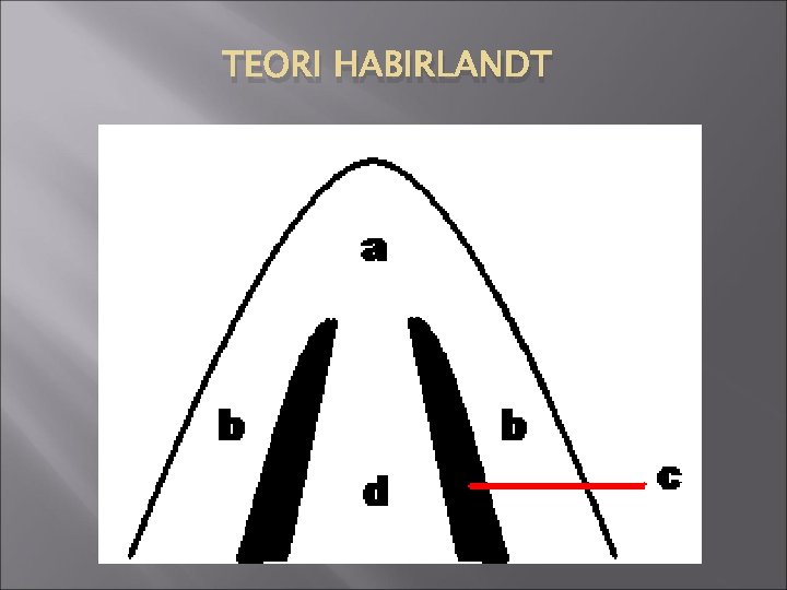 TEORI HABIRLANDT 