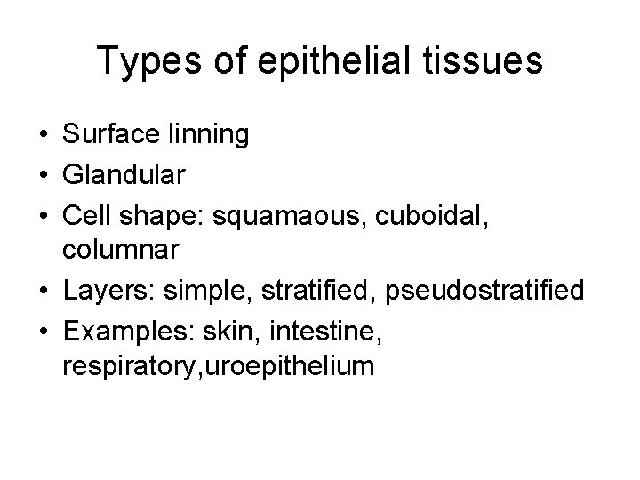 Types of epithelial tissues • Surface linning • Glandular • Cell shape: squamaous, cuboidal,