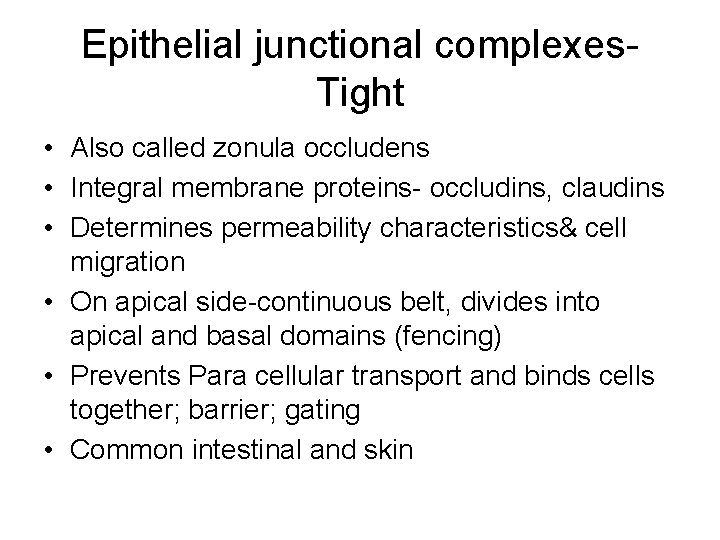 Epithelial junctional complexes. Tight • Also called zonula occludens • Integral membrane proteins- occludins,