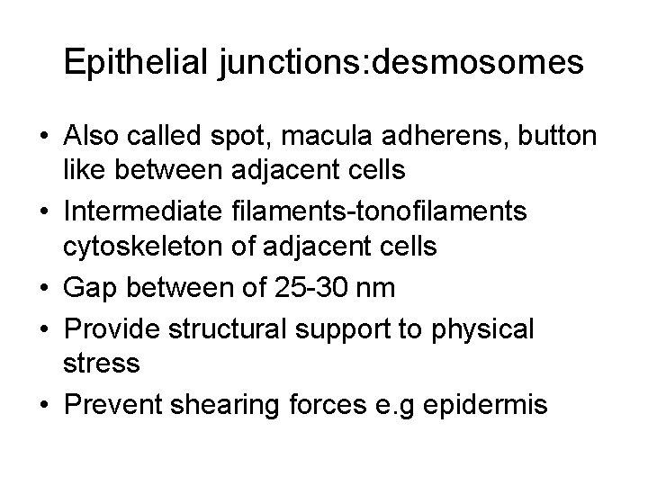 Epithelial junctions: desmosomes • Also called spot, macula adherens, button like between adjacent cells