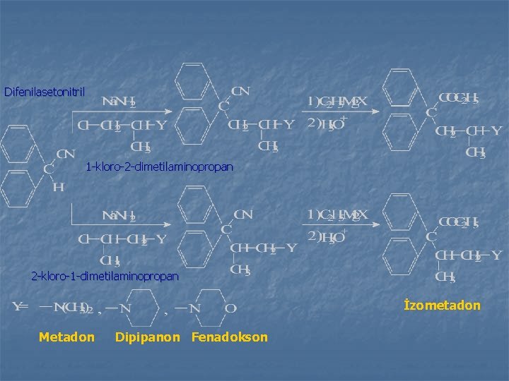 Difenilasetonitril 1 -kloro-2 -dimetilaminopropan 2 -kloro-1 -dimetilaminopropan İzometadon Metadon Dipipanon Fenadokson 
