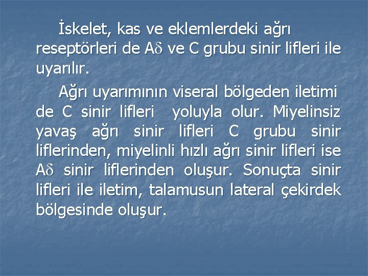 İskelet, kas ve eklemlerdeki ağrı reseptörleri de A ve C grubu sinir lifleri ile