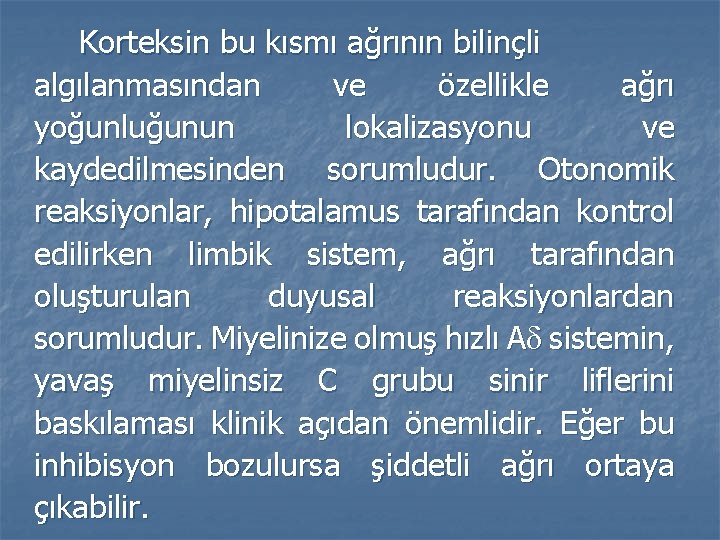 Korteksin bu kısmı ağrının bilinçli algılanmasından ve özellikle ağrı yoğunluğunun lokalizasyonu ve kaydedilmesinden sorumludur.