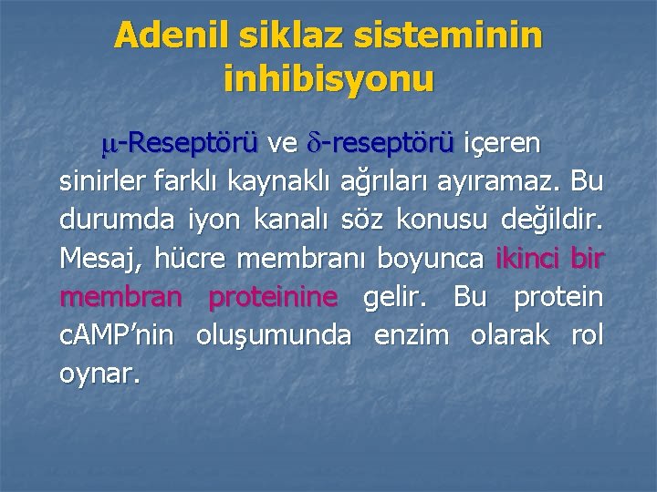 Adenil siklaz sisteminin inhibisyonu -Reseptörü ve -reseptörü içeren sinirler farklı kaynaklı ağrıları ayıramaz. Bu