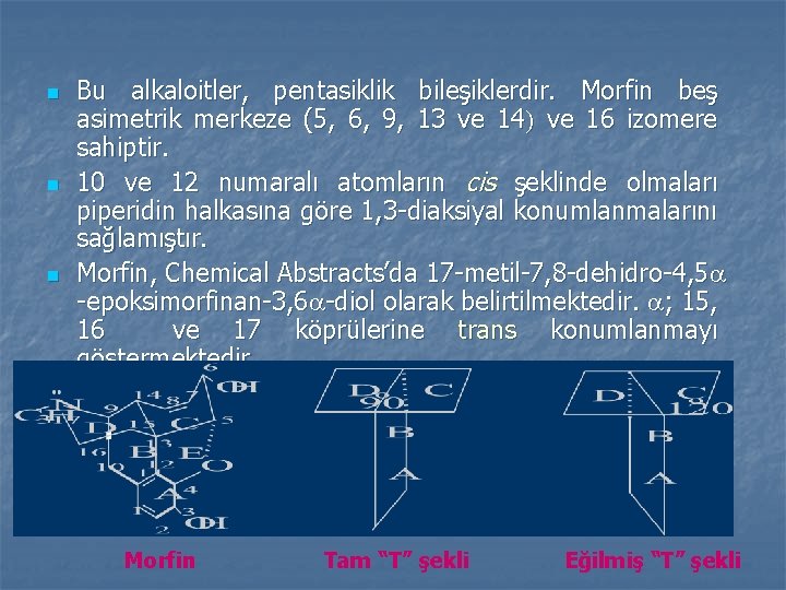 n n n Bu alkaloitler, pentasiklik bileşiklerdir. Morfin beş asimetrik merkeze (5, 6, 9,