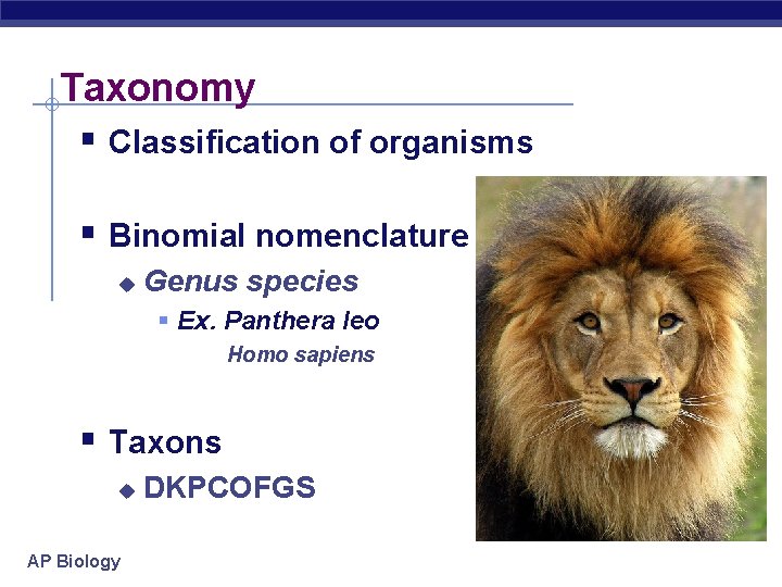 Taxonomy § Classification of organisms § Binomial nomenclature u Genus species § Ex. Panthera