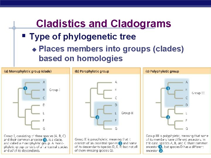 Cladistics and Cladograms § Type of phylogenetic tree u AP Biology Places members into