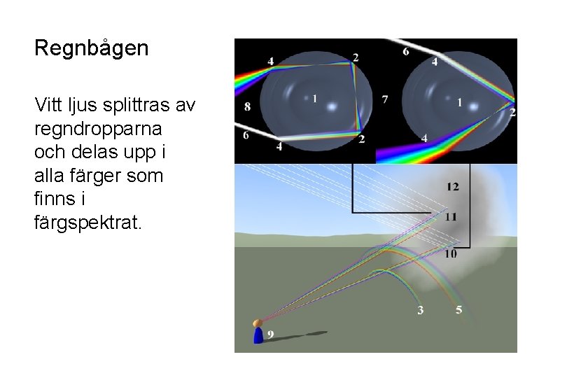 Regnbågen Vitt ljus splittras av regndropparna och delas upp i alla färger som finns