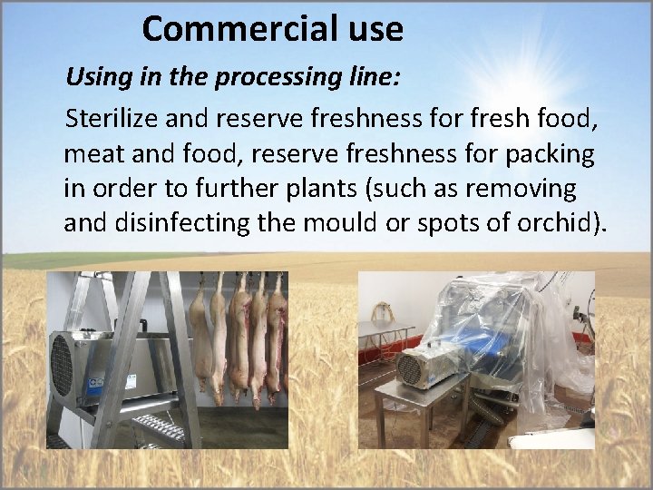 Commercial use Using in the processing line: Sterilize and reserve freshness for fresh food,