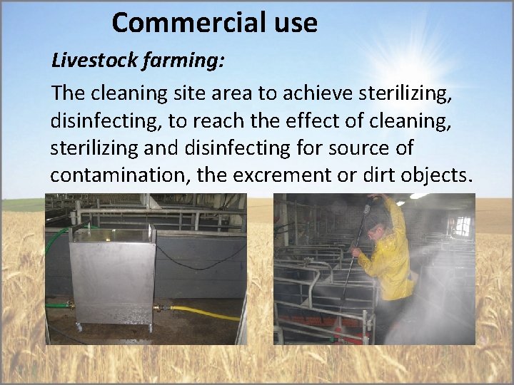 Commercial use Livestock farming: The cleaning site area to achieve sterilizing, disinfecting, to reach