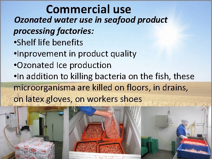 Commercial use Ozonated water use in seafood product processing factories: • Shelf life benefits