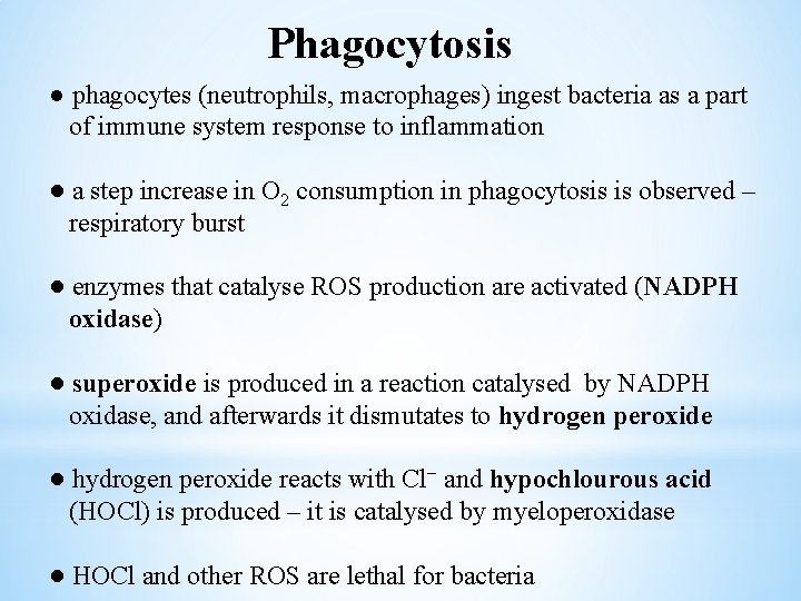 Phagocytosis ● phagocytes (neutrophils, macrophages) ingest bacteria as a part of immune system response