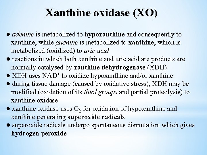 Xanthine oxidase (XO) ● adenine is metabolized to hypoxanthine and consequently to xanthine, while