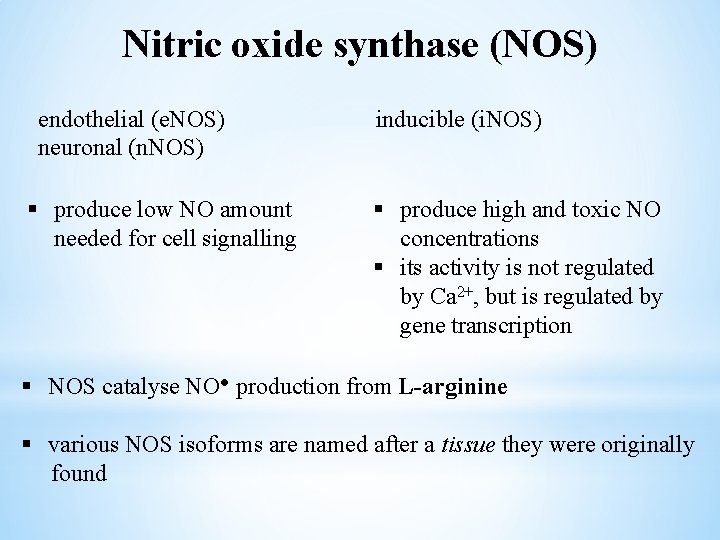 Nitric oxide synthase (NOS) endothelial (e. NOS) neuronal (n. NOS) § produce low NO