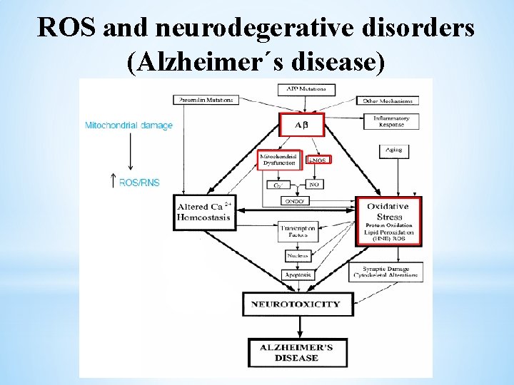ROS and neurodegerative disorders (Alzheimer´s disease) 
