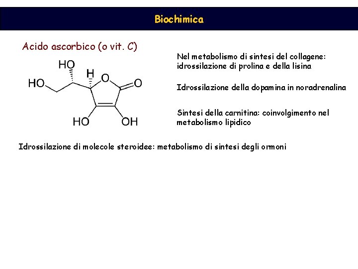 Biochimica Acido ascorbico (o vit. C) Nel metabolismo di sintesi del collagene: idrossilazione di