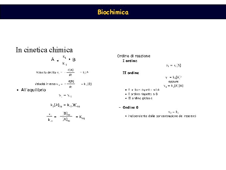 Biochimica In cinetica chimica 