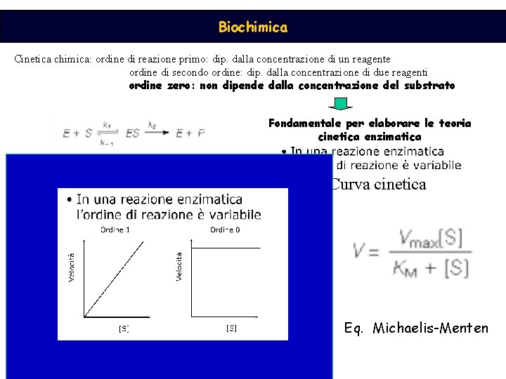 Biochimica Cinetica chimica: ordine di reazione primo: dip. dalla concentrazione di un reagente ordine