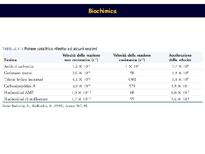 Biochimica 