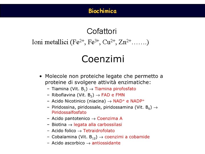 Biochimica Cofattori Ioni metallici (Fe 2+, Fe 3+, Cu 2+, Zn 2+……. ) 