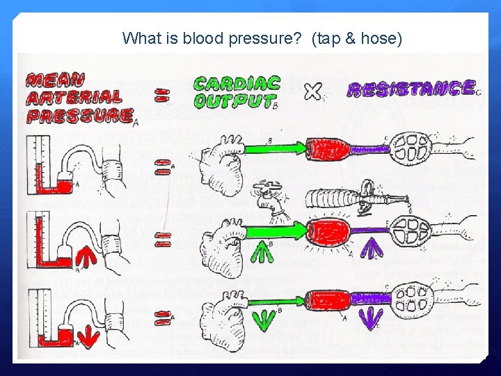What is blood pressure? (tap & hose) 