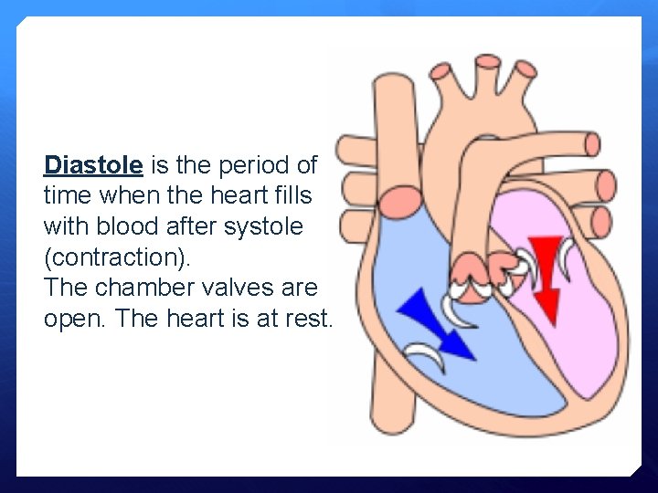 Diastole is the period of time when the heart fills with blood after systole