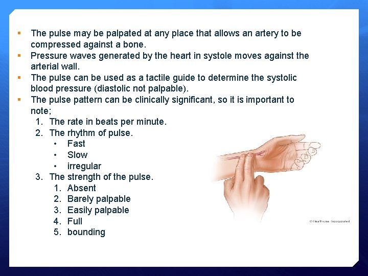 § § The pulse may be palpated at any place that allows an artery