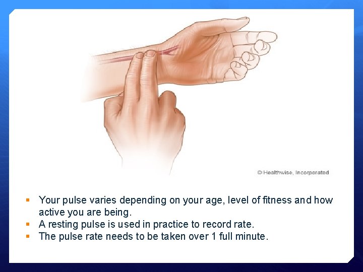 § Your pulse varies depending on your age, level of fitness and how active