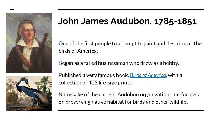 John James Audubon, 1785 -1851 One of the first people to attempt to paint