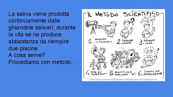 La saliva viene prodotta continuamente dalle ghiandole salivari; durante la vita se ne produce