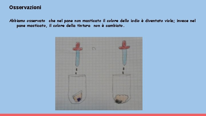 Osservazioni Abbiamo osservato che nel pane non masticato il colore dello iodio è diventato